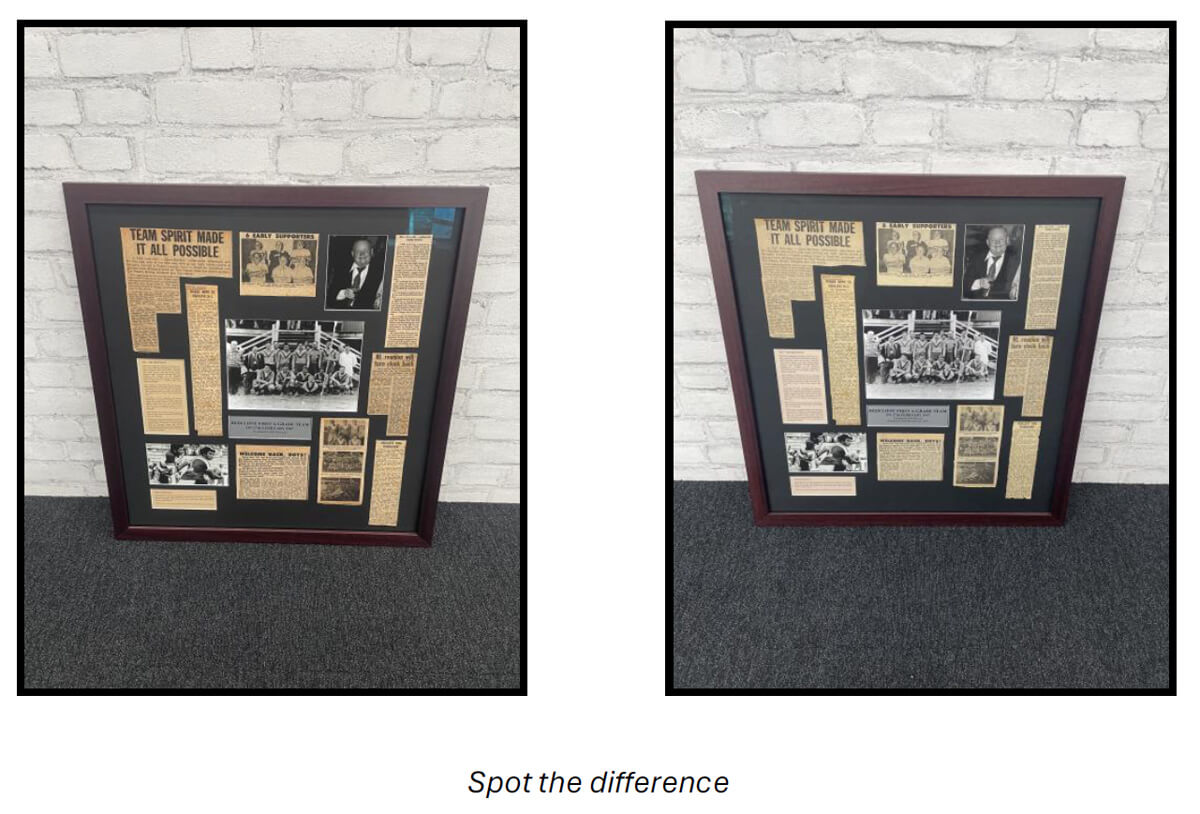 Spot the difference Dolphions NRL frame difference