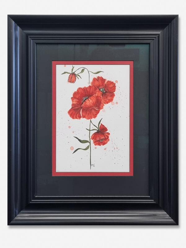 After framing red poppies