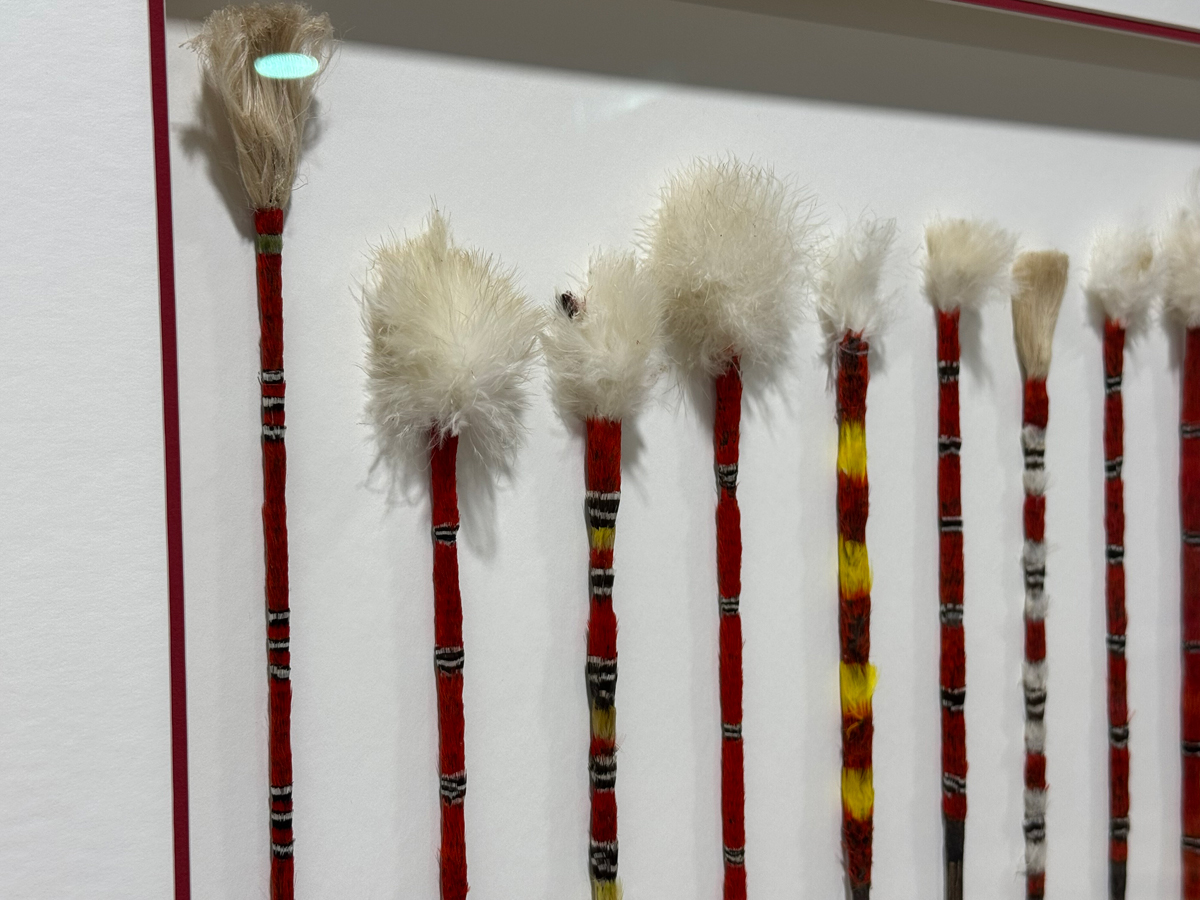 Arrowheads from the Solomon Islands arranged for framing
